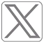 X Icon